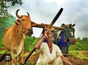 इथला शेतकरी, व्यापारी सहनशील मात्र…..